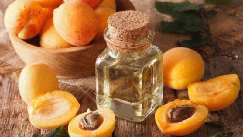 How Apricot Oil Is Beneficial For Skin